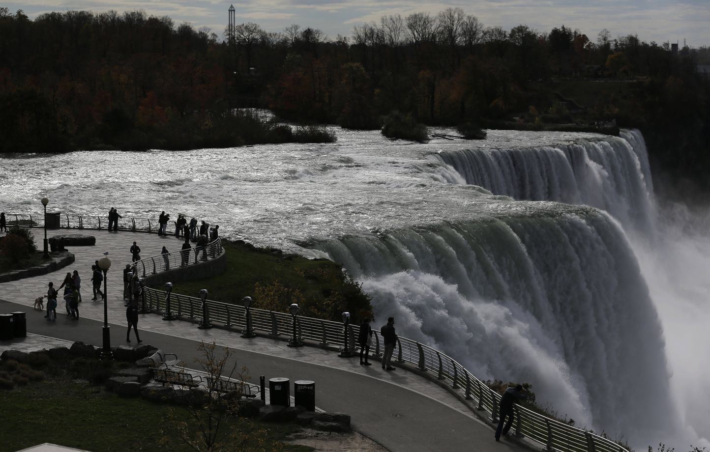 Une femme saute dans les chutes du Niagara avec ses deux enfants